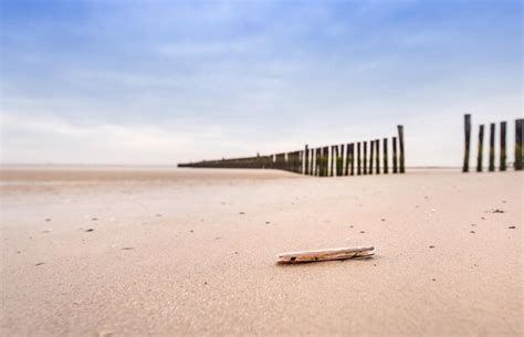 Premium Photo Driftwood On Sand At Beach Against Sky