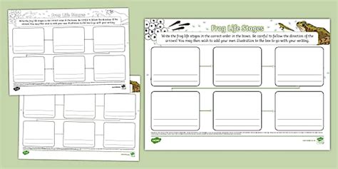 Frog Life Stages Sequencing Mind Map Teacher Made Twinkl