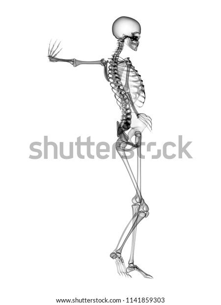 X Ray Human Body 3d Render Stock Illustration 1141859303 Shutterstock