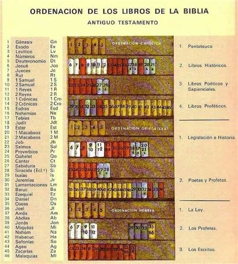 Ordenacion De Los Libros De La Biblia Books Of The Bible Bible