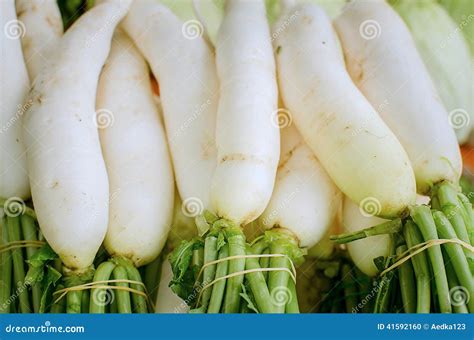 Turnip On The Market Stock Photo Image Of Ingredient 41592160