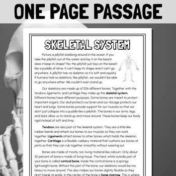 The Skeletal System Reading Comprehension Passage By Lafountaine Of