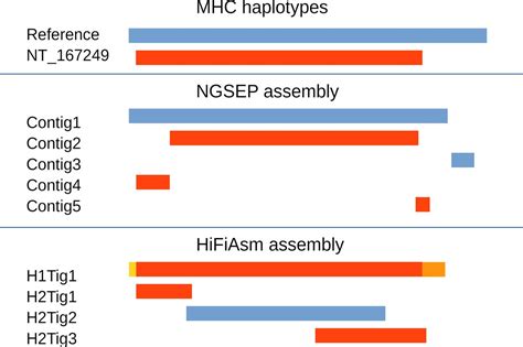 New Algorithms For Accurate And Efficient De Novo Genome Assembly From