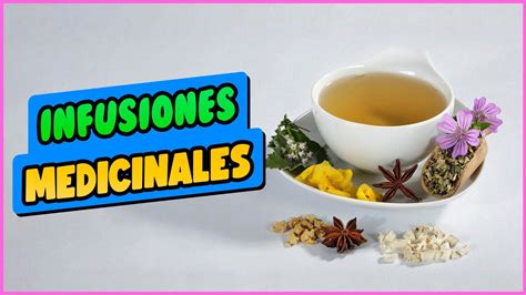 10 PLANTAS MEDICINALES Para BEBER En INFUSIONES YouTube