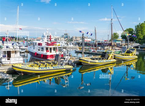 Whale watching british columbia hi-res stock photography and images - Alamy