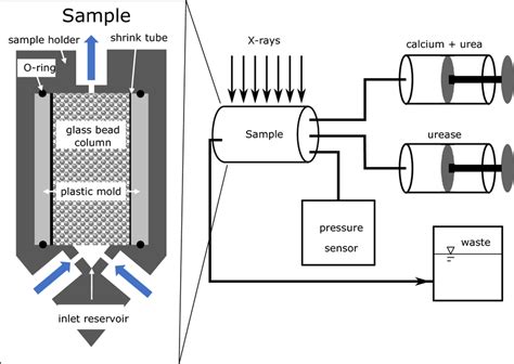 Sketch of the EICP setup as used in this study (right) and a detailed ...