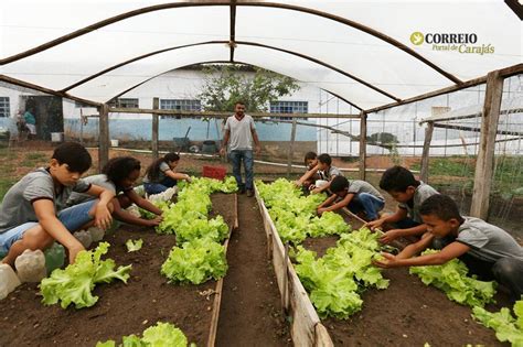 Escolas de Marabá ganharão projeto Quintal da Vovó Correio de Carajás