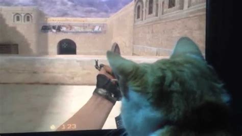 Kot Stefan Gra W Cs Część 2 Stefan Cat Playing Counter Strike Part 2