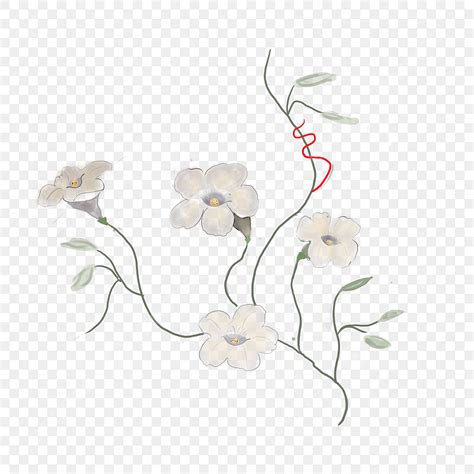 White Flowers Branch Png Transparent White Flower Branch Illustration