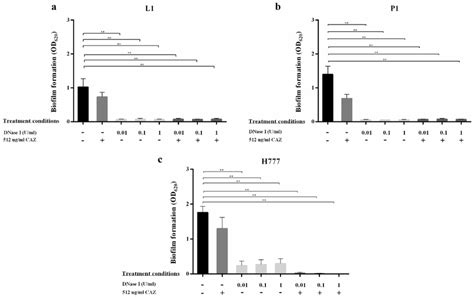 Dnase I Combined With Ceftazidime Inhibits B Pseudomallei Biofilm Download Scientific Diagram