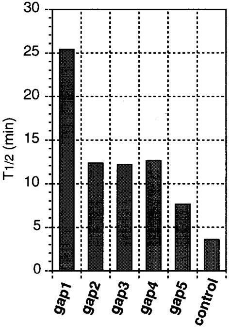 Polyacrylamide Gel Electrophoresis Of 5′ 32 P Labeled Odns Hydrolyzed