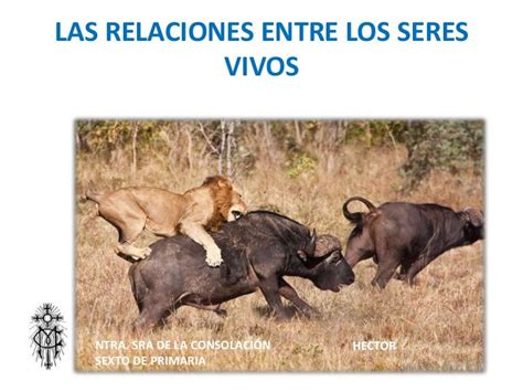 Relacion Entre Los Seres Vivos