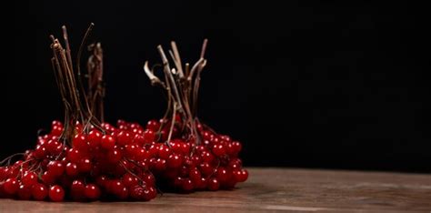 Premium Photo A Bunch Of Ripe Viburnum Berries On A Black Background