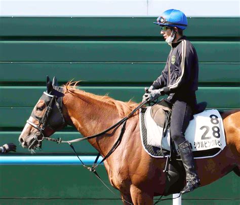 日曜函館競馬場の注目激走馬函館11r函館スプリントステークス・g3 Umatoku 馬トク