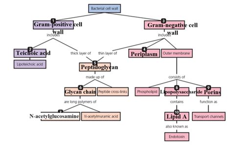 Chapter 3 Solutions Microbiology With Diseases By Taxonomy 5th