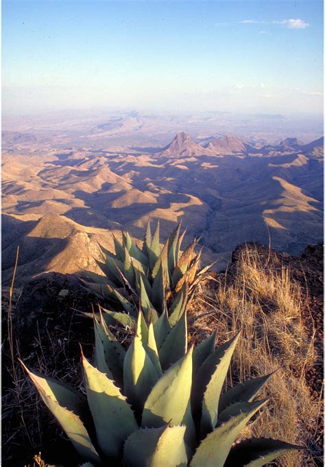 Big Bend Outdoors Safety Tips - Visit Big Bend