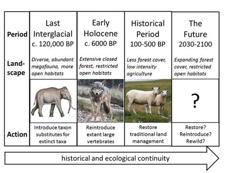 307 best Pleistocene images on Pholder | Pleistocene, Naturewasmetal ...