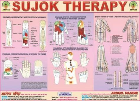 Popular Of Su Jok Le Guide Pdf