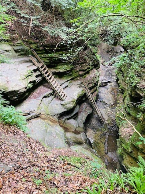 Turkey Run State Park Indiana Hiking Activity And Camping Trip Guide