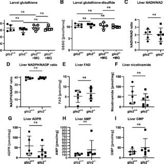 The Redox Status Of Larvae And The Adult Liver Was Unaffected By The