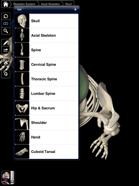 Essential Skeleton Ipad App Ipad Apps Ipad Lessons App