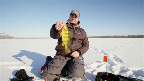 Ice Fishing Perch On The Mississippi River In Depth Outdoors TV S17