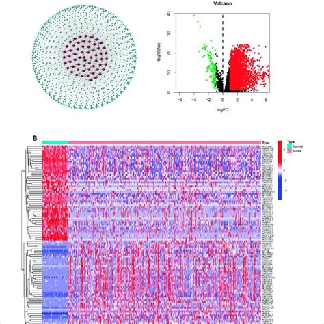 A Co Expression Network Between Necroptosis Related Genes And