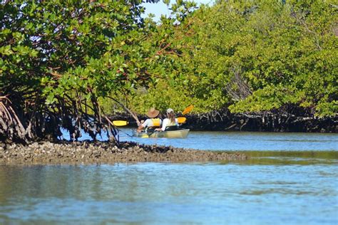 Tripadvisor Marco Island Fr Haufsteher Mangroven Tunnel Abenteuer Zur