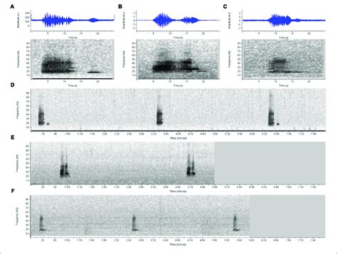 Sound Spectrograms And Waveforms Illustrating Similarities Of Song Download Scientific