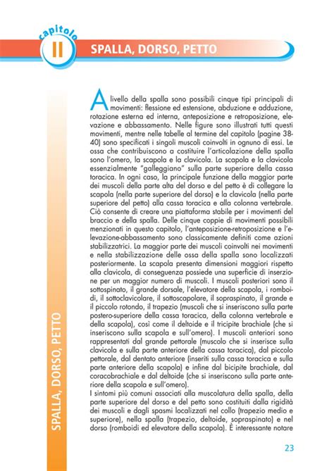 Pagine Da Anatomia Stretching Pdf