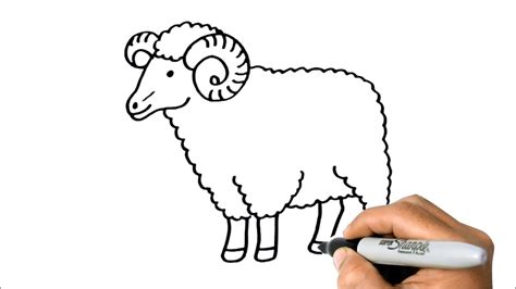 How To Draw A Ram Sheep Easy Step By Step Youtube