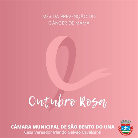 C Mara Municipal De S O Bento Do Una Abra A O Outubro Rosa C Mara De