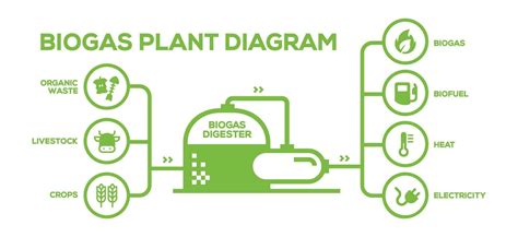 Diagrama De La Planta De Energía De Biogás