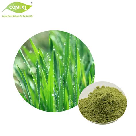 Food Supplement Pure Organic Water Soluble Bulk Barley Grass Extract