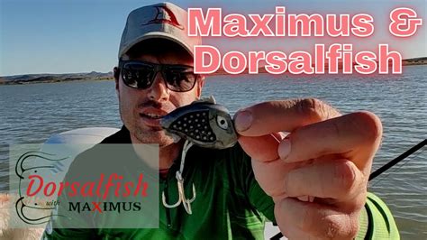 Maximus And Dorsalfish Baber Toffie How To Do Poppingprop Vir Baber