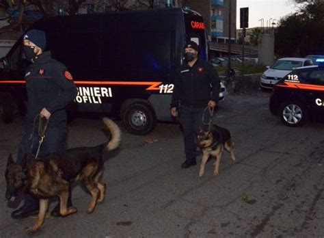 Pesaro Blitz Nella Casa Dello Spaccio I Carabinieri Si Fingono