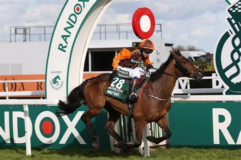 What Affects Horse Racing Odds Factors Determine Betting Odds
