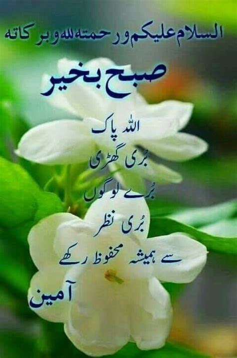 Subha Bakhair Dua In Urdu Good Morning Beautiful Flowers Good