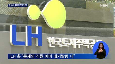 Lh 임직원 땅투기 영끌에 지분 쪼개기심지어 나무심기도 네이트 뉴스