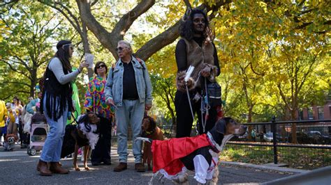 Tompkins Square Park Halloween Dog Parade canceled | FOX 5 New York