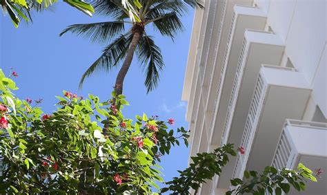 Aqua Oasis A Joy Hotel Honolulu In The Heart Of Waikiki United States