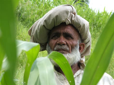 Poverty In Pakistan The Borgen Project