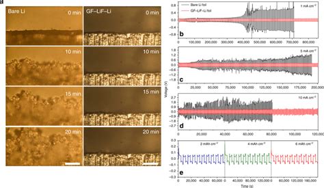 In Situ Optical Microscopy Visualization Of Li Electrodeposition And