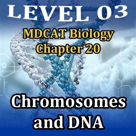 Chromosomes And Dna Mdcat Biology Chapter Level