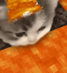 Slurp Cat Slurp Cat Cute Cat Descubra E Partilhe GIFs