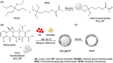 Preparation Procedure Of A Sio2 Np Modified With Vinyl Group B