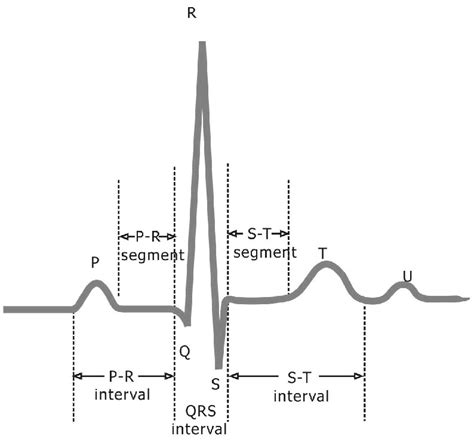 Labview For Ecg Signal Processing National Instruments