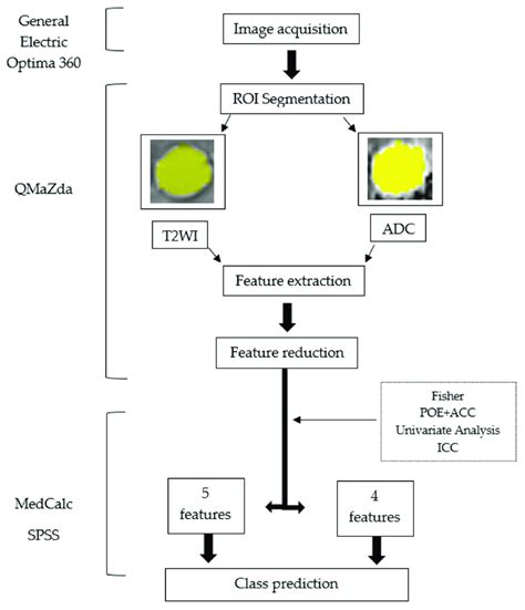 Radiomics Workflow Diagram T2WI T2 Weighted Images ADC Apparent