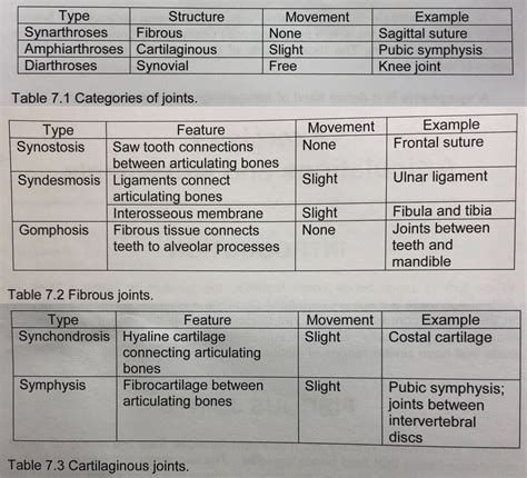 Types Of Synovial Joints Table The Best Porn Website