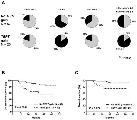 Tert Promoter Status And Gene Copy Number Gains Effect On Tert